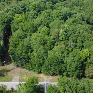 Photo #3 of 6142 Hwy 252, Donalds, SC 8.0 acres