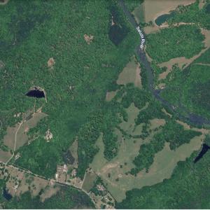 Photo #2 of 6142 Hwy 252, Donalds, SC 8.0 acres