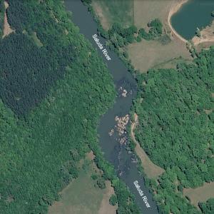 Photo #4 of 6070 Hwy 252, Donalds, SC 57.5 acres
