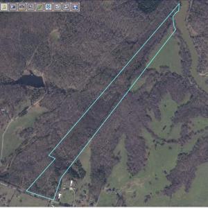 Photo #1 of 6070 Hwy 252, Donalds, SC 57.5 acres