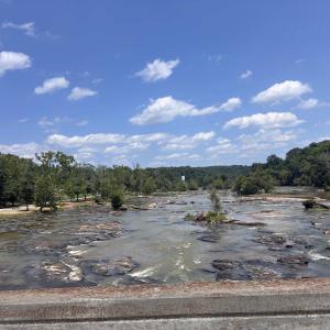 Photo #9 of 6070 Hwy 252, Donalds, SC 57.5 acres