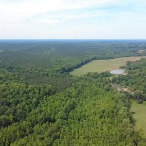 Photo #5 of 6070 Hwy 252, Donalds, SC 57.5 acres