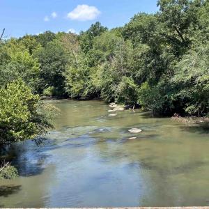 Photo #8 of 6070 Hwy 252, Donalds, SC 57.5 acres