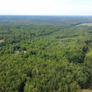 Photo #7 of 6070 Hwy 252, Donalds, SC 57.5 acres