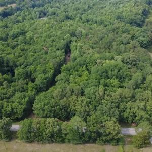 Photo #6 of 6070 Hwy 252, Donalds, SC 57.5 acres
