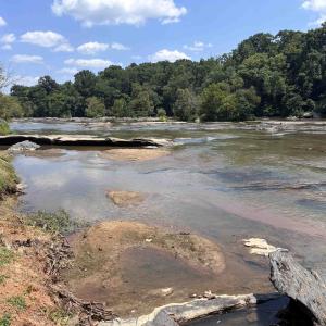 Photo #10 of 6070 Hwy 252, Donalds, SC 57.5 acres