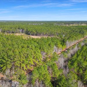 Photo #15 of TBD Williams Hill Rd., Hemingway, SC 53.5 acres