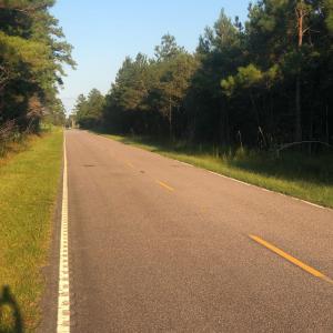 Photo #4 of TBD Williams Hill Rd., Hemingway, SC 53.5 acres