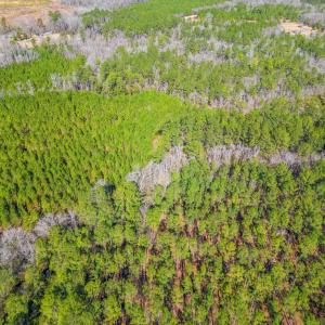 Photo #6 of TBD Williams Hill Rd., Hemingway, SC 53.5 acres