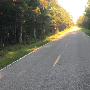 Photo #5 of TBD Williams Hill Rd., Hemingway, SC 53.5 acres