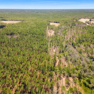 Photo #12 of TBD Williams Hill Rd., Hemingway, SC 53.5 acres