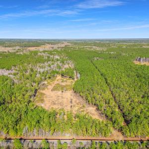 Photo #2 of TBD Williams Hill Rd., Hemingway, SC 53.5 acres