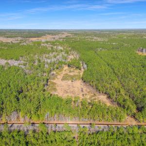 Photo #10 of TBD Williams Hill Rd., Hemingway, SC 53.5 acres