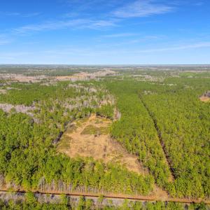 Photo #13 of TBD Williams Hill Rd., Hemingway, SC 53.5 acres