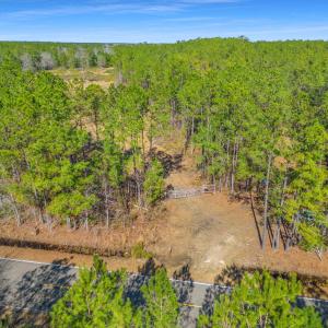Photo #16 of TBD Williams Hill Rd., Hemingway, SC 53.5 acres