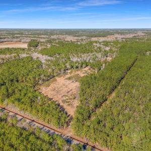 Photo #9 of TBD Williams Hill Rd., Hemingway, SC 53.5 acres