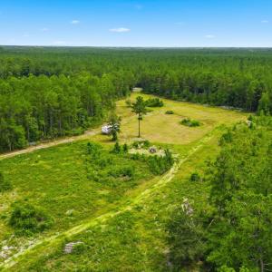 Photo #7 of TBD Williams Hill Rd., Hemingway, SC 53.5 acres
