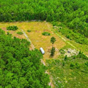 Photo #9 of TBD Williams Hill Rd., Hemingway, SC 53.5 acres