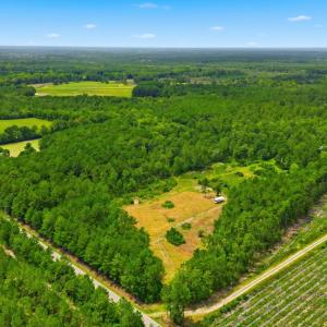 Photo #1 of TBD Williams Hill Rd., Hemingway, SC 53.5 acres