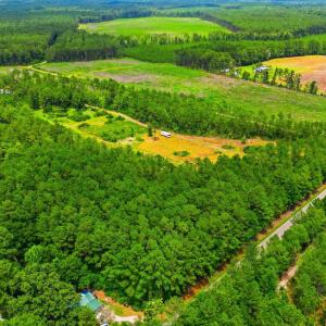 Photo #5 of TBD Williams Hill Rd., Hemingway, SC 53.5 acres