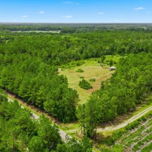 Photo #4 of TBD Williams Hill Rd., Hemingway, SC 53.5 acres