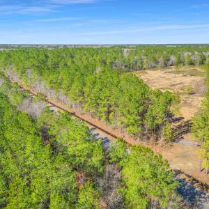 Photo #10 of TBD Williams Hill Rd., Hemingway, SC 53.5 acres