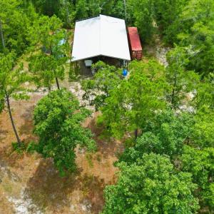 Photo #13 of TBD Williams Hill Rd., Hemingway, SC 53.5 acres