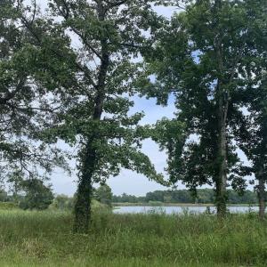 Photo #4 of 45.22 Ac Atlantic Breeze Dr., North Myrtle Beach, SC 45.2 acres