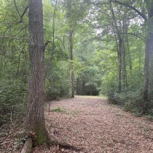 Photo #5 of 45.22 Ac Atlantic Breeze Dr., North Myrtle Beach, SC 45.2 acres