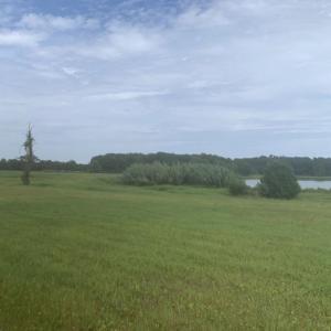Photo #9 of 44.25 Ac Old Sanders Dr., North Myrtle Beach, SC 44.3 acres