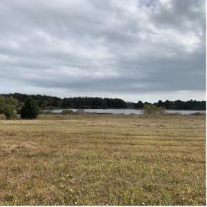 Photo #8 of 44.25 Ac Old Sanders Dr., North Myrtle Beach, SC 44.3 acres