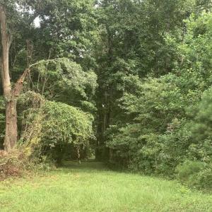 Photo #2 of TBD 28.53 Acres Old Sanders Dr., North Myrtle Beach, SC 28.5 acres