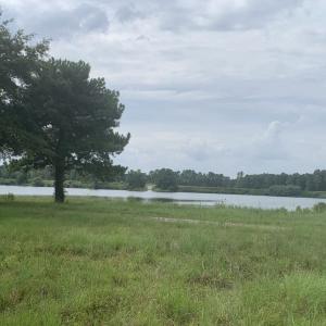 Photo #7 of TBD 29 Acres Old Sanders Rd., North Myrtle Beach, SC 29.0 acres