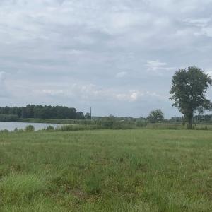 Photo #2 of TBD 29 Acres Old Sanders Rd., North Myrtle Beach, SC 29.0 acres