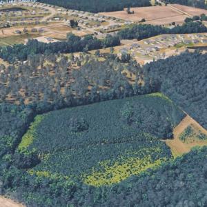 Photo #1 of TBD10 Union Rd., Conway, SC 27.0 acres