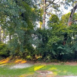 Photo #6 of 4195 Golf Ave., Little River, SC 0.4 acres