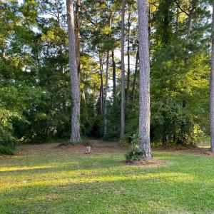 Photo #3 of 4195 Golf Ave., Little River, SC 0.4 acres