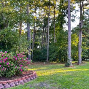 Photo #4 of 4195 Golf Ave., Little River, SC 0.4 acres
