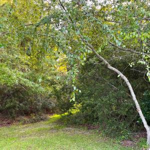 Photo #3 of 500 Spauldingwood Rd., Little River, SC 0.2 acres