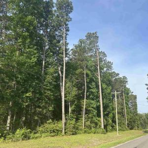 Photo #16 of 4259 Roscoe Rd., Myrtle Beach, SC 11.5 acres