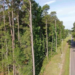 Photo #15 of 4259 Roscoe Rd., Myrtle Beach, SC 11.5 acres