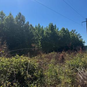 Photo #6 of TBD Derrick Ct., Marion, SC 2.6 acres
