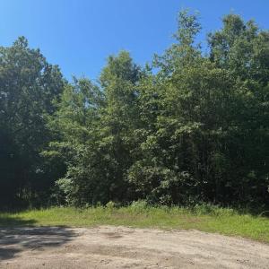 Photo #1 of TBD Derrick Ct., Marion, SC 2.6 acres