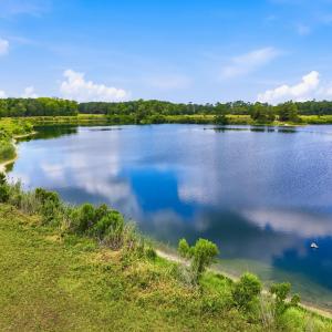 Photo #14 of 181.47 Acres Atlantic Breeze Dr., North Myrtle Beach, SC 239.0 acres