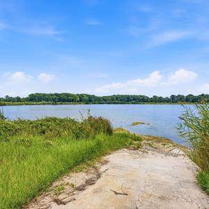 Photo #27 of 181.47 Acres Atlantic Breeze Dr., North Myrtle Beach, SC 239.0 acres