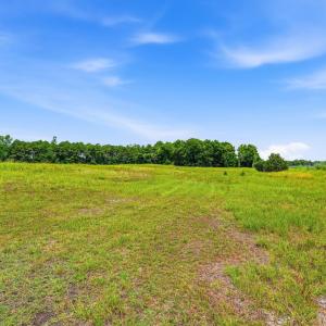 Photo #28 of 181.47 Acres Atlantic Breeze Dr., North Myrtle Beach, SC 239.0 acres