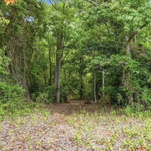 Photo #24 of 181.47 Acres Atlantic Breeze Dr., North Myrtle Beach, SC 239.0 acres