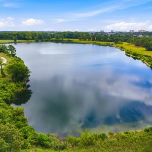 Photo #18 of 181.47 Acres Atlantic Breeze Dr., North Myrtle Beach, SC 239.0 acres