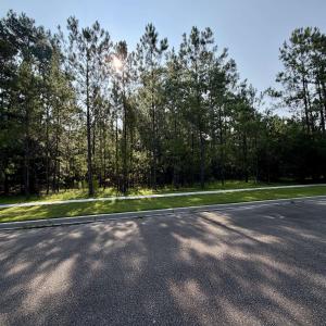 Photo #5 of 121 Pineberry Dr., Georgetown, SC 0.1 acres