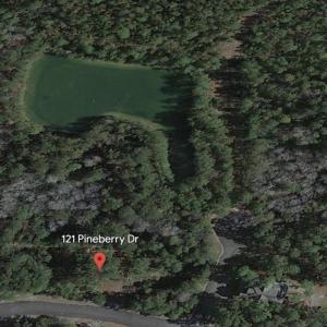 Photo #2 of 121 Pineberry Dr., Georgetown, SC 0.1 acres